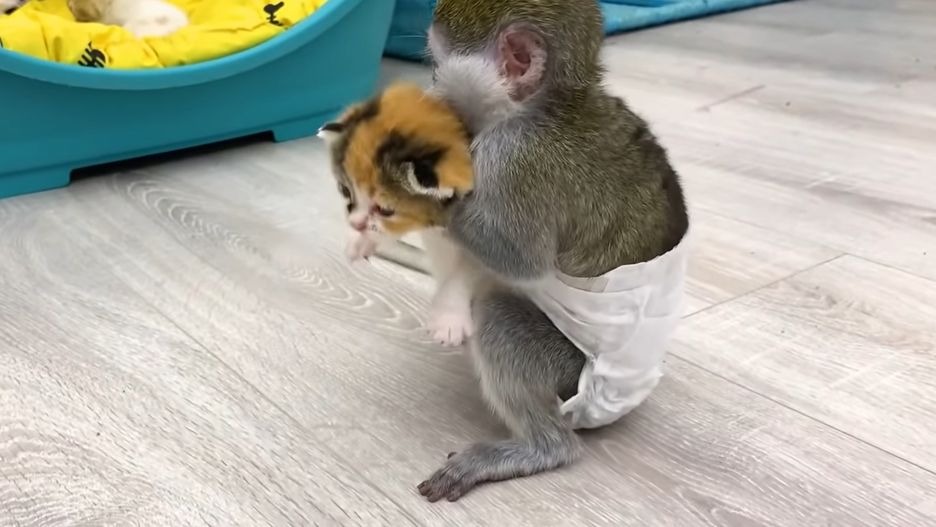 Nagranie ma już 25 milionów wyświetleń. ""Mógłbym to oglądać całymi dniami"