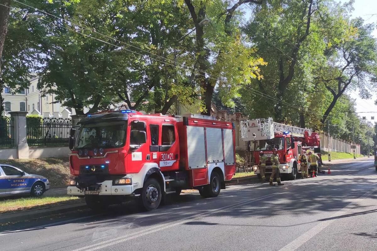 Strażacy interweniujący do pochylonego drzewa nad ul. Wyszyńskiego w Lublinie
