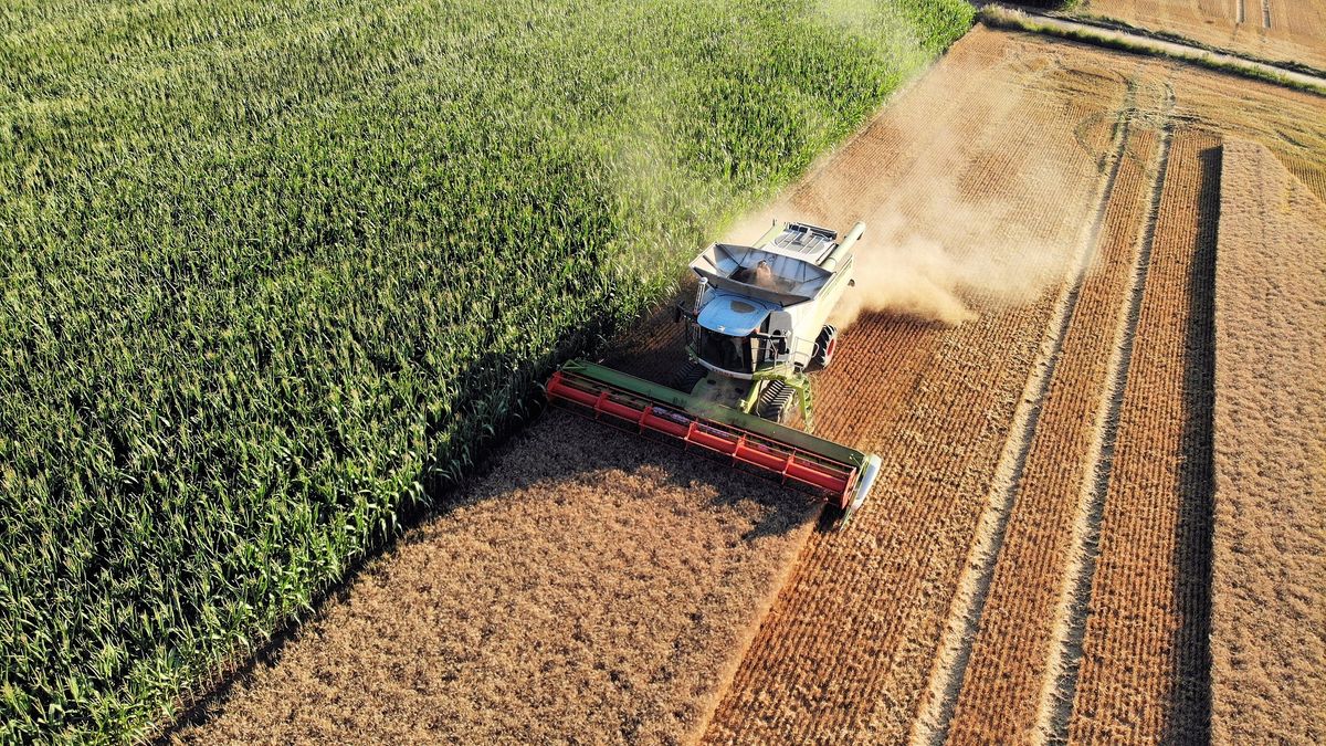 33 tys. rolniczych rodzin będzie mogło zakupić komputer do swojego gospodarstwa (zdj. ilustracyjne).