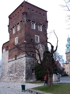Obraz