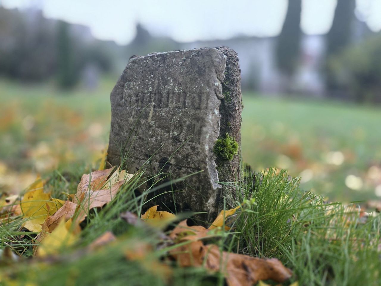 Każdy cmentarz jest jak księga, w której zapisano często dramatyczne losy