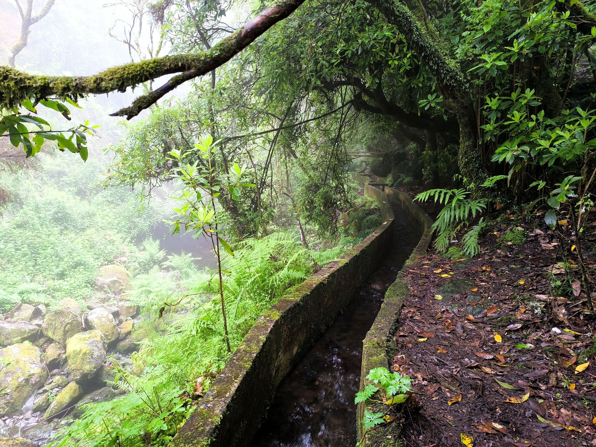 Levada do Furado