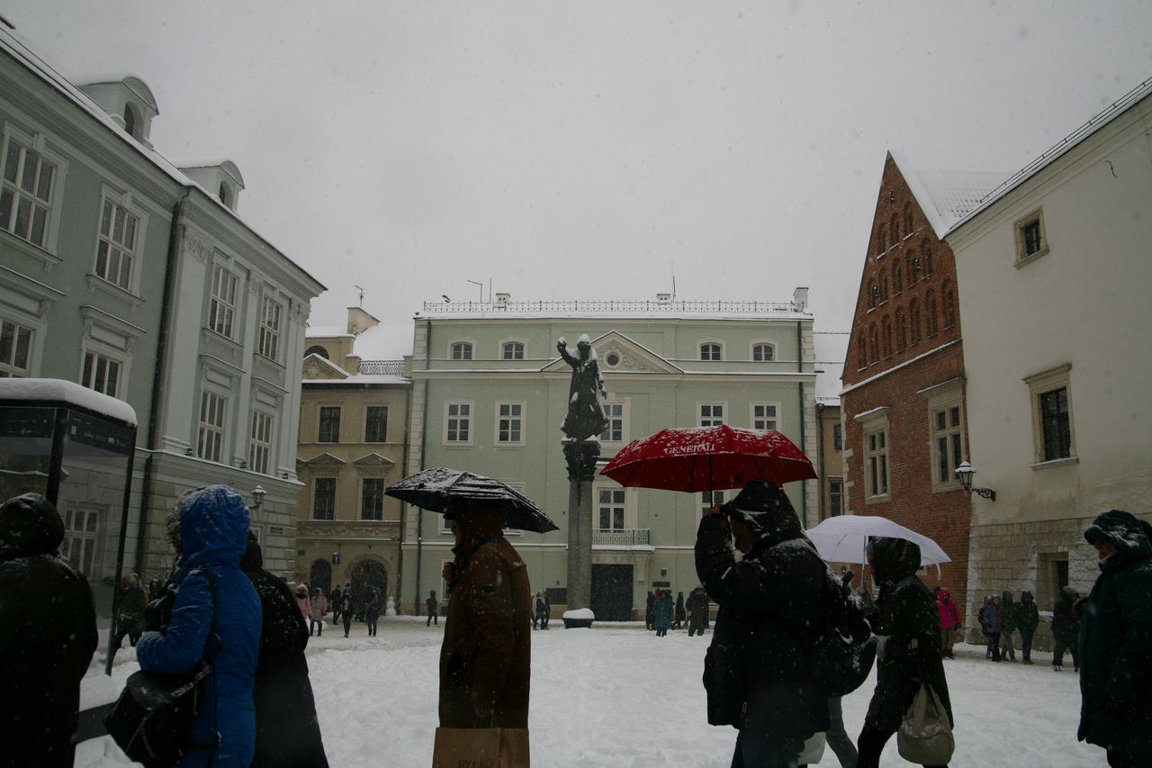 Polakom brakuje kompetencji. Pracodawcy mają problemy