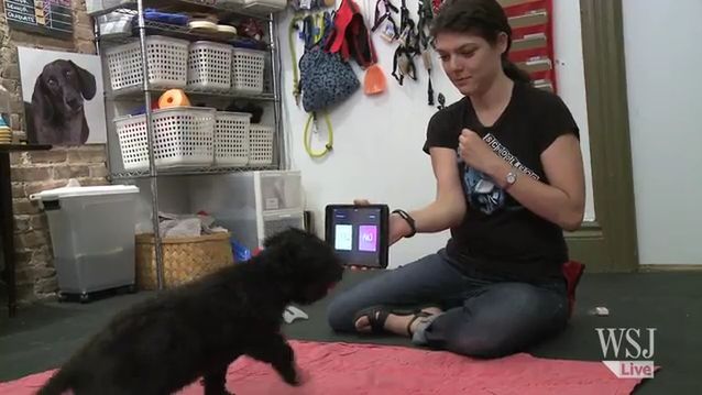 W skrócie: 100 000 smartfonów w 1,5 minuty, emulator Nintendo DS na Androida, psy korzystające z iPada 1