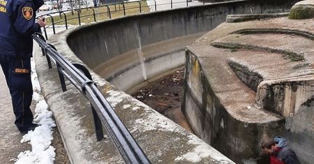 Wpadł do wybiegu dla niedźwiedzi. Był wycieńczony i przerażony