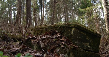 Znaki odstraszające czarownice. Odkryto je w ruinach średniowiecznego kościoła w Wielkiej Brytanii