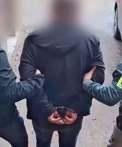 Gang "perfumiarzy" rozbity. Kolejny podejrzany w rękach służb