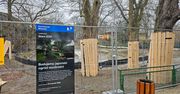 Poznań: W Starym Zoo powstaje japoński ogród. Ruszyły prace nad nową przestrzenią relaksu