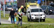 Nie będą kosić wszystkich trawników. Miasto podało powód