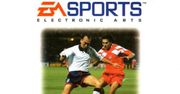 Piotr Świerczewski pozwał EA Sports. Trafił na okładkę, a pieniędzy nie widział