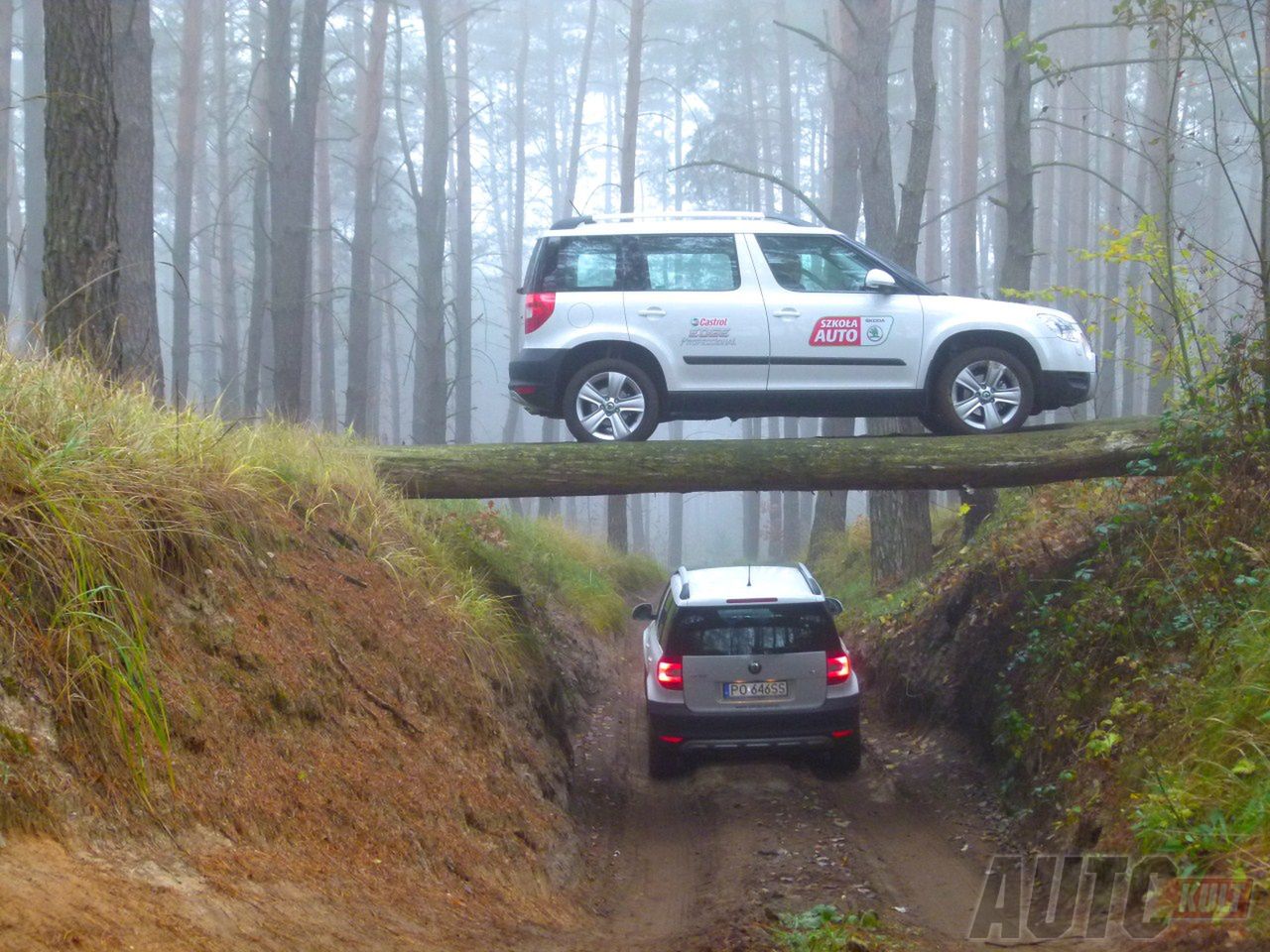 Skoda Szkoła Auto