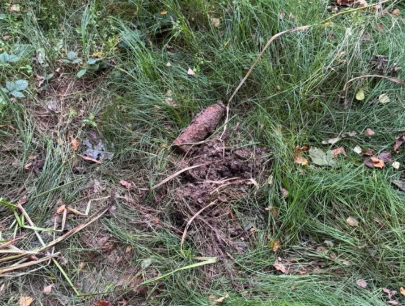 Znalazł to podczas porannego spaceru. Od razu zadzwonił na policję