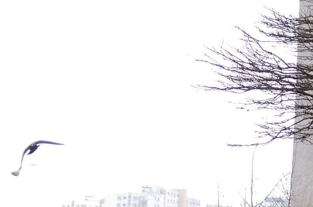 HTC Desire Eye - test fotograficzny 18