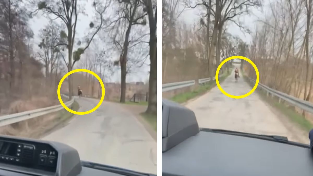 Pijany jeździec uciekał przed policjantami