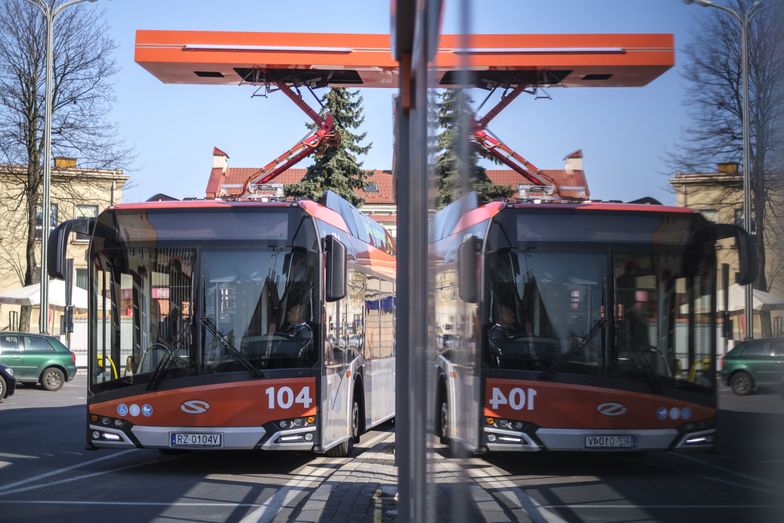 Skokowo wzrośnie liczba e-autobusów w Polsce. Tempo zmienią jednak ceny prądu