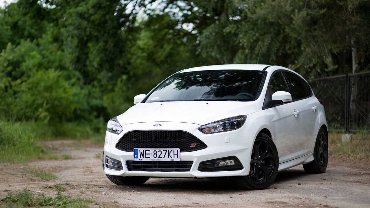 Zdjęcie ilustracyjne do artykułu