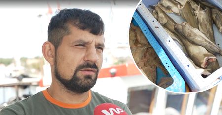 Polacy często nie wiedzą, więc rybak z Łeby tłumaczy. Łatwo się nabrać na świeżą rybę