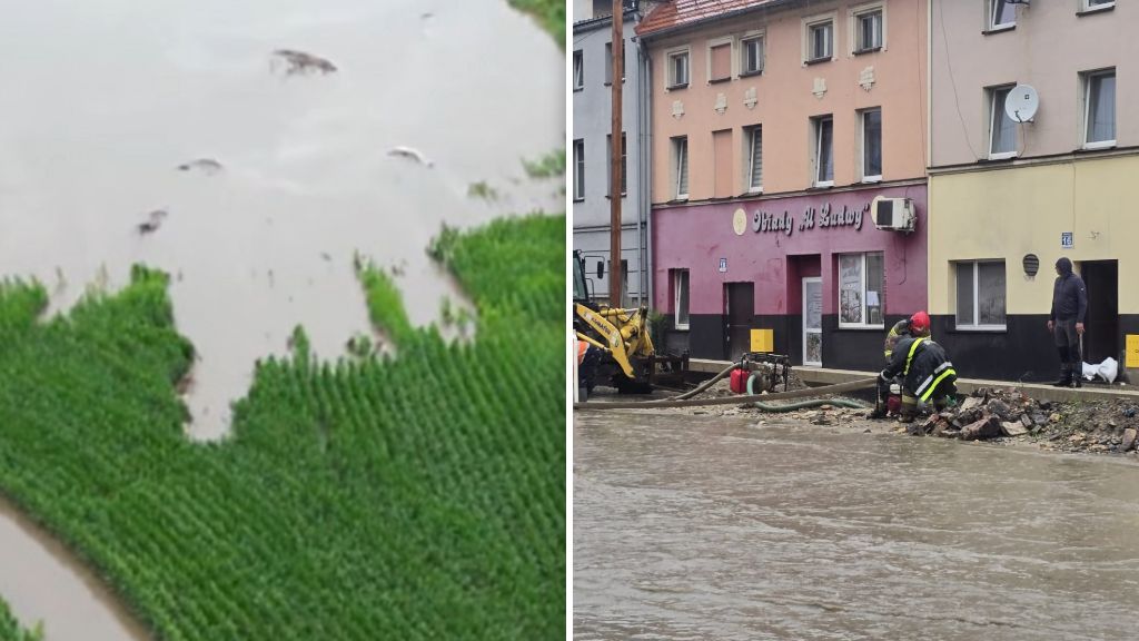Podtopienia na południu Polski. Rolnicy i biznes liczą straty
