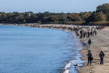 Zima odwołana. Grudzień jak marzec, termometry pokażą dwucyfrowe temperatury