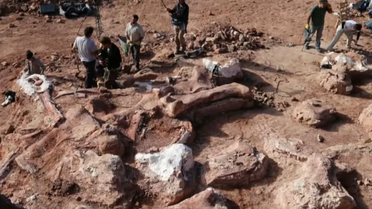 wykopaliska dinozaur argentyna tytanozaur
