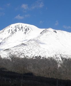 Tatry Słowackie. Ze Sławkowskiego Szczytu zeszła potężna lawina