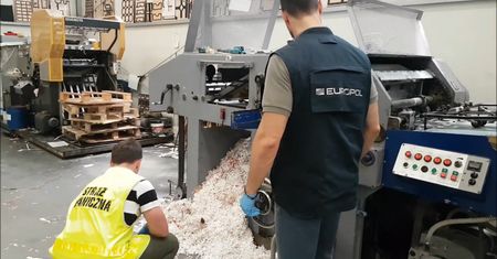 Straż Graniczna rozbiła grupę przestępczą. Nagranie z akcji