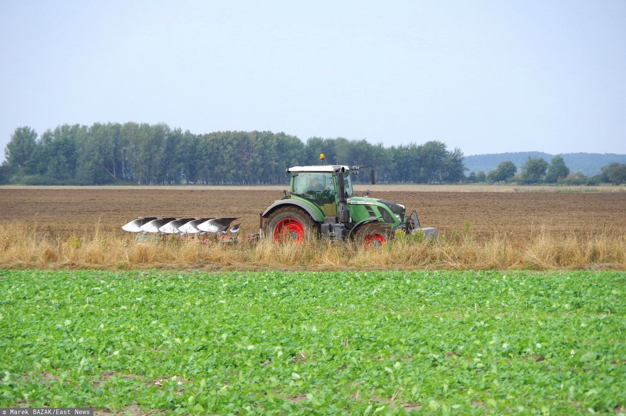 Rolnictwo bez roślin? Chińczycy pozyskali skrobię z wodoru i CO2