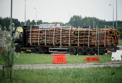 Ceny opału. Oto ile kosztuje metr drewna