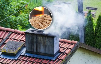 Alarmują ws. kotłów na biomasę i wzywają rząd do reakcji. Chodzi o "Czyste Powietrze"