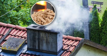 Alarmują ws. kotłów na biomasę i wzywają rząd do reakcji. Chodzi o "Czyste Powietrze"