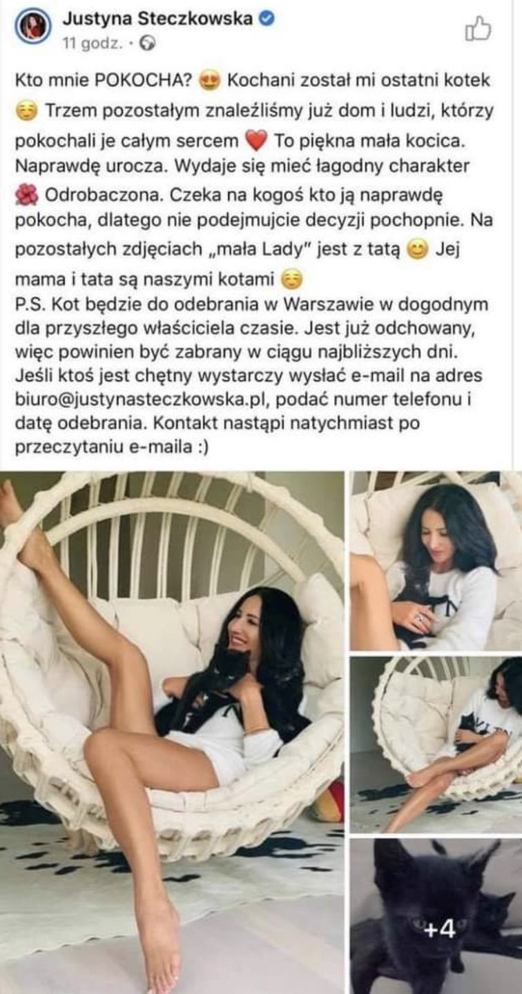 Justyna Steczkowska promuje rozmnażanie kotów?