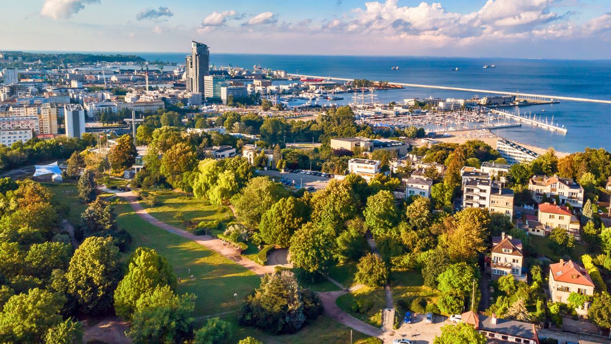 Ta mapa drzew to niezły miejski bajer 