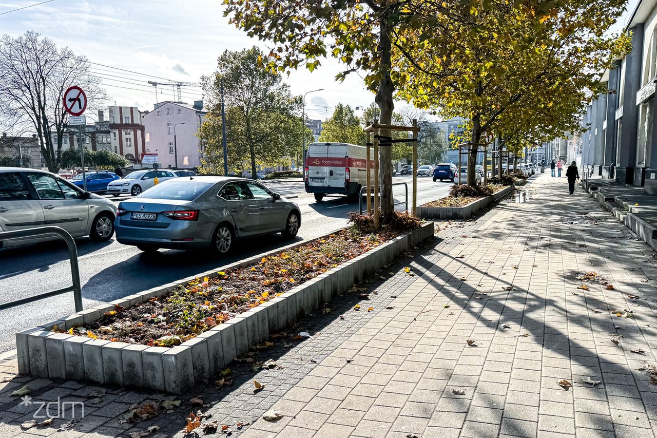 Poznań: Więcej zieleni w centrum. Chłodna i Głogowska mają nowy wygląd