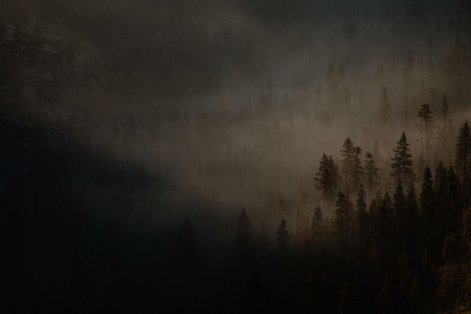 Rozmawialiśmy z Justyną Zduńczyk, laureatką Sony World Photography Awards 2018 8