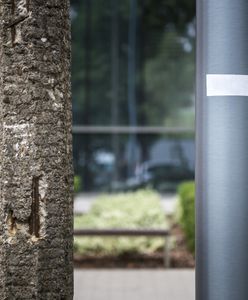 Warszawa. Betonowe słupy latarni wymienione na stalowe. Będzie nowocześnie