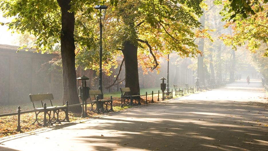 Najdłuższy park - Młynówka Królewska zyska nową kładkę