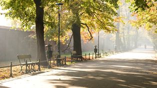 Kraków: Najdłuższy park - Młynówka Królewska zyska nową kładkę