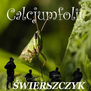 Okładka albumu Świerszczyk wykonawcy Calcjumfolii