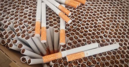 Potencjalne straty to kilkanaście milionów złotych. CBŚP likwiduje...