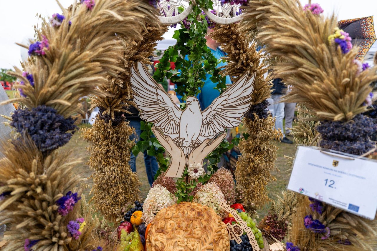 Wyczarowali te cuda ze słomy i ziarna. Najpiękniejsze wieńce dożynkowe 2025