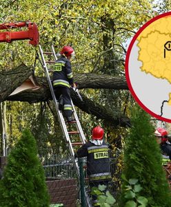 Alert RCB. Uwaga na silny wiatr! IMGW wskazuje zagrożone regiony