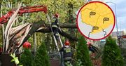 Alert RCB. Uwaga na silny wiatr! IMGW wskazuje zagrożone regiony