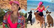 Patricia Kazadi w różowym stroju kąpielowym zażywa kąpieli słonecznych w towarzystwie świnek na Bahamach (ZDJĘCIA)