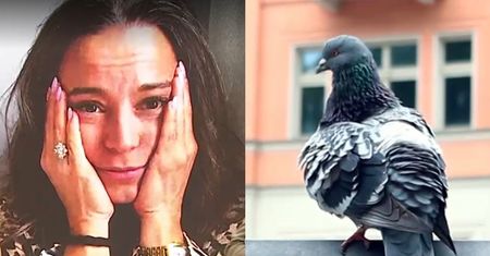 DRAMAT Anny Muchy: gołębie opanowały jej balkon. "Zatrzęsienie g**na, to jakaś MASAKRA"