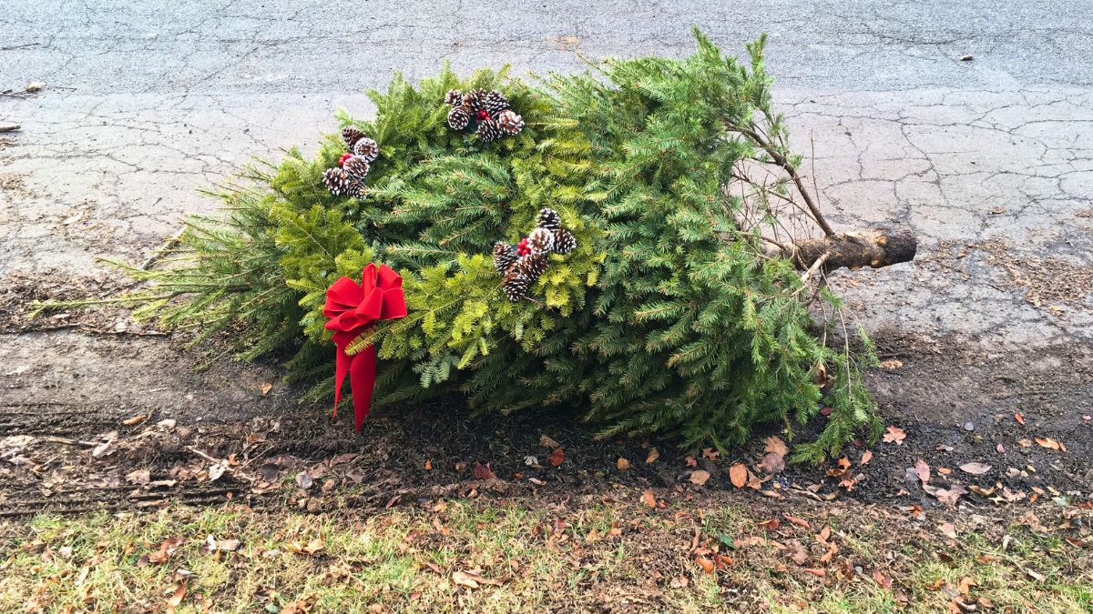 Mało kto wie, że Boże Narodzenie nadal trwa 