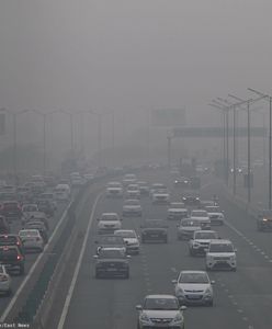 Ten pomysł w Polsce oburzyłby wielu. Duża stolica wprowadza zakaz tankowania starych aut