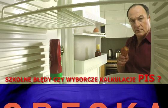 PO i PiS atakują się spotami z „robieniem z Polski Grecji” i pustą lodówką (wideo)