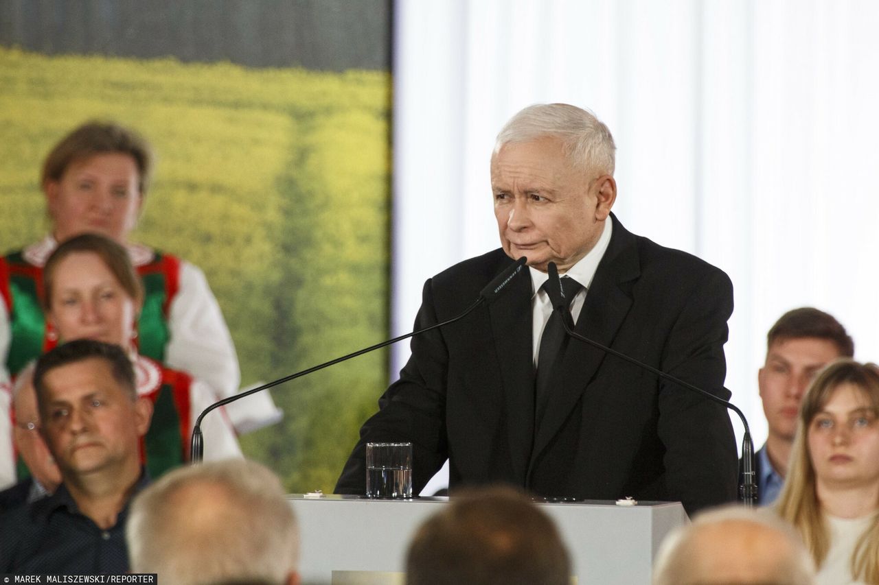 PiS w pułapce Zielonego Ładu. Konfederacja wyczuła "polityczne złoto"