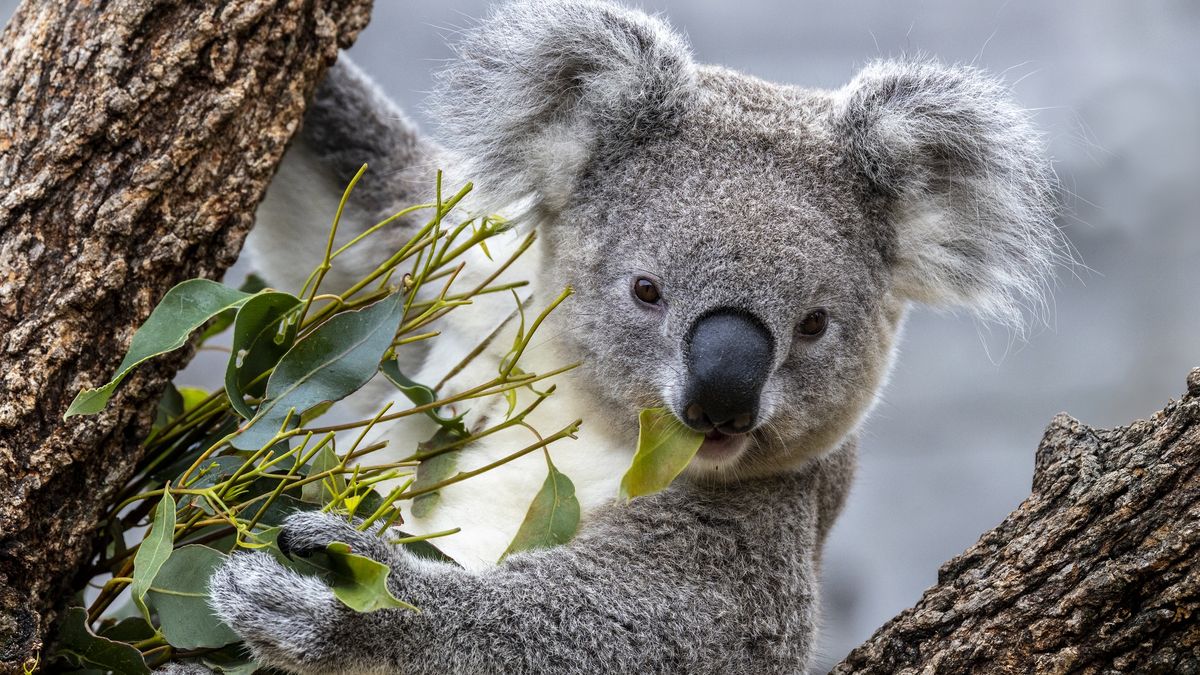 Krzyżówka z wiedzy ogólnej