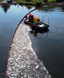 Odra znowu zagrożona. Polacy chcą natychmiastowych działań